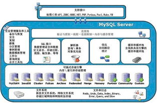 mysql学习3 数据表的操作